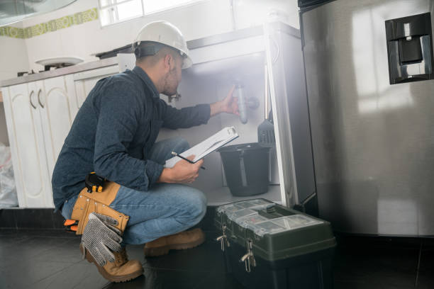 Best Local Plumber Services  in Pana, IL