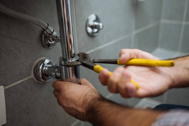 Best Sewer Line Repair  in Pana, IL
